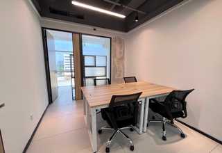 江苏植物租赁销售