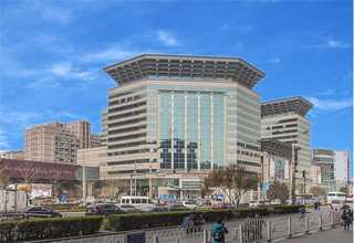 桂林沙糖桔黄龙病是什么