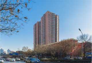 江苏机械粉体输送选择