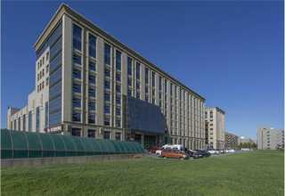 贵州实惠糯米值得推荐